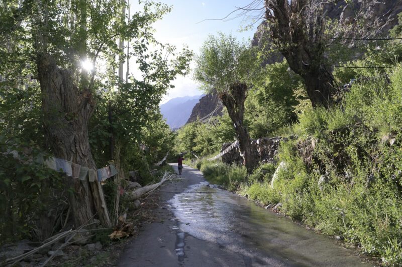 Oasis et Cols de l&rsquo;Himalaya, étape 5