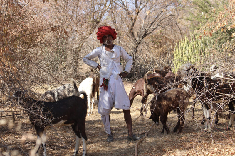 The Rajasthani Adventure, étape 3