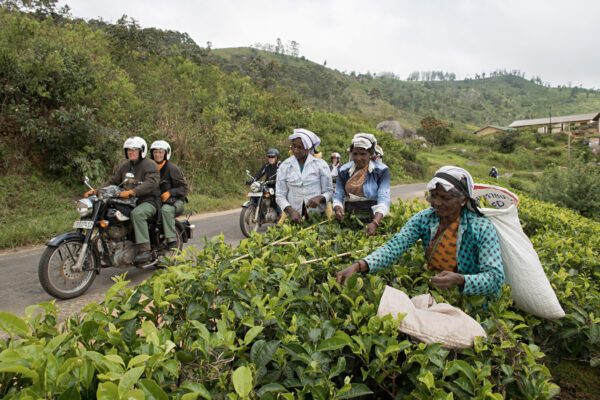Sur les Routes de Ceylan