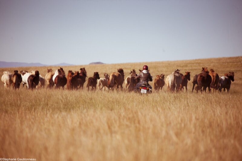 In the tracks of Genghis Khan, étape 4