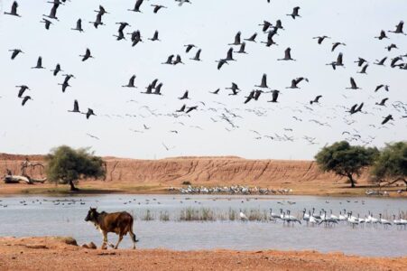 « J’ai beaucoup roulé dans ma vie, mais ce voyage je m&rsquo;en souviendrai toujours. »
