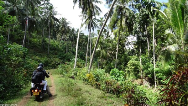 Voyage moto Sri Lanka : bien s&rsquo;équiper