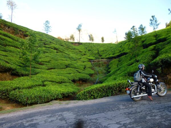 Mathieu, un voyageur à l&rsquo;esprit Vintage Rides