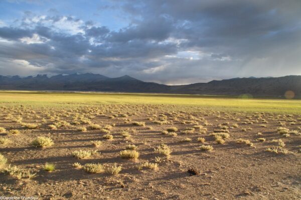 Haikus routiers du Ladakh.