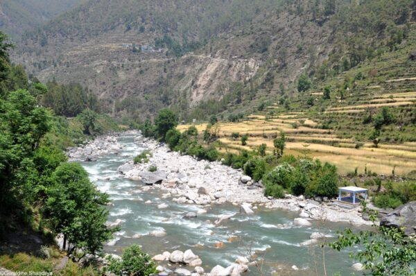 Babas, pistons et masala