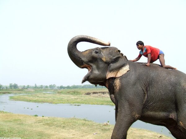 Vie au Nepal, de Katmandou au Mustang.