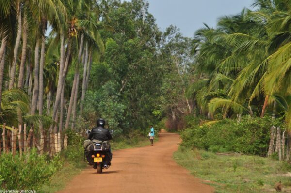 L&rsquo;Or Blanc de Ceylan, merveilles du Sri Lanka oriental