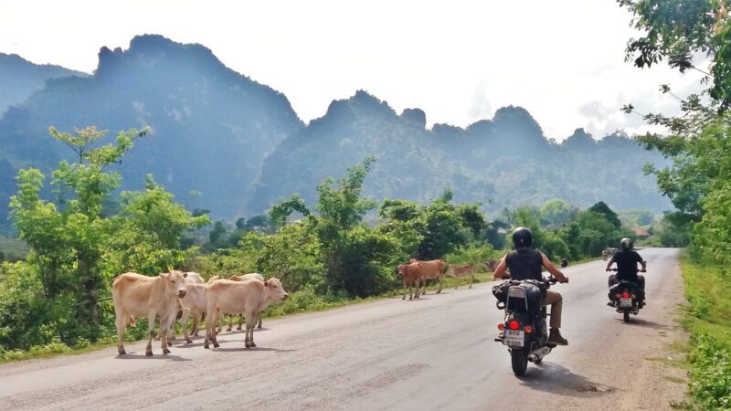 Thaïlande & Laos : Au fil du Mékong, étape 3
