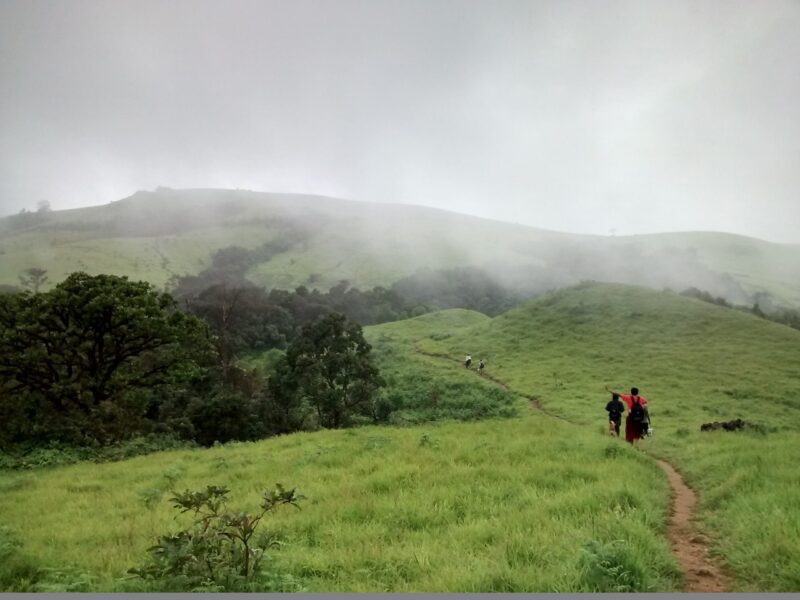 Luxury Tour in Kerala, étape 2