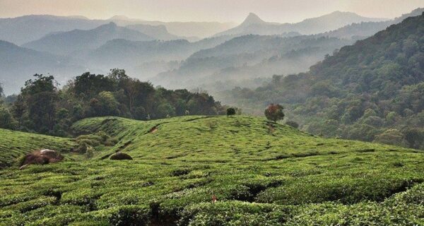 Chic & Charme au Kerala