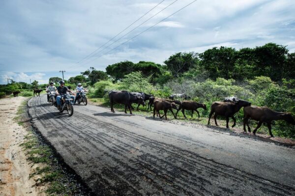 Sri Lanka : un peu d&rsquo;histoire au pays du thé