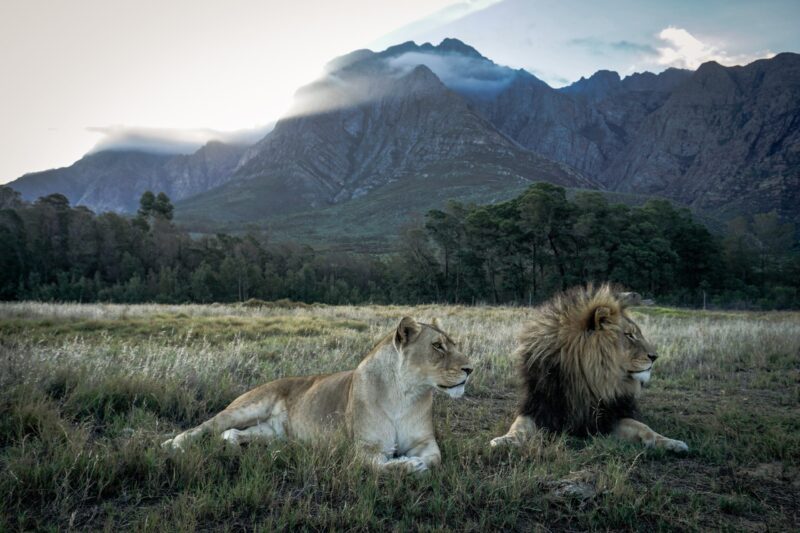 Cap sur l&rsquo;Afrique du Sud, étape 5