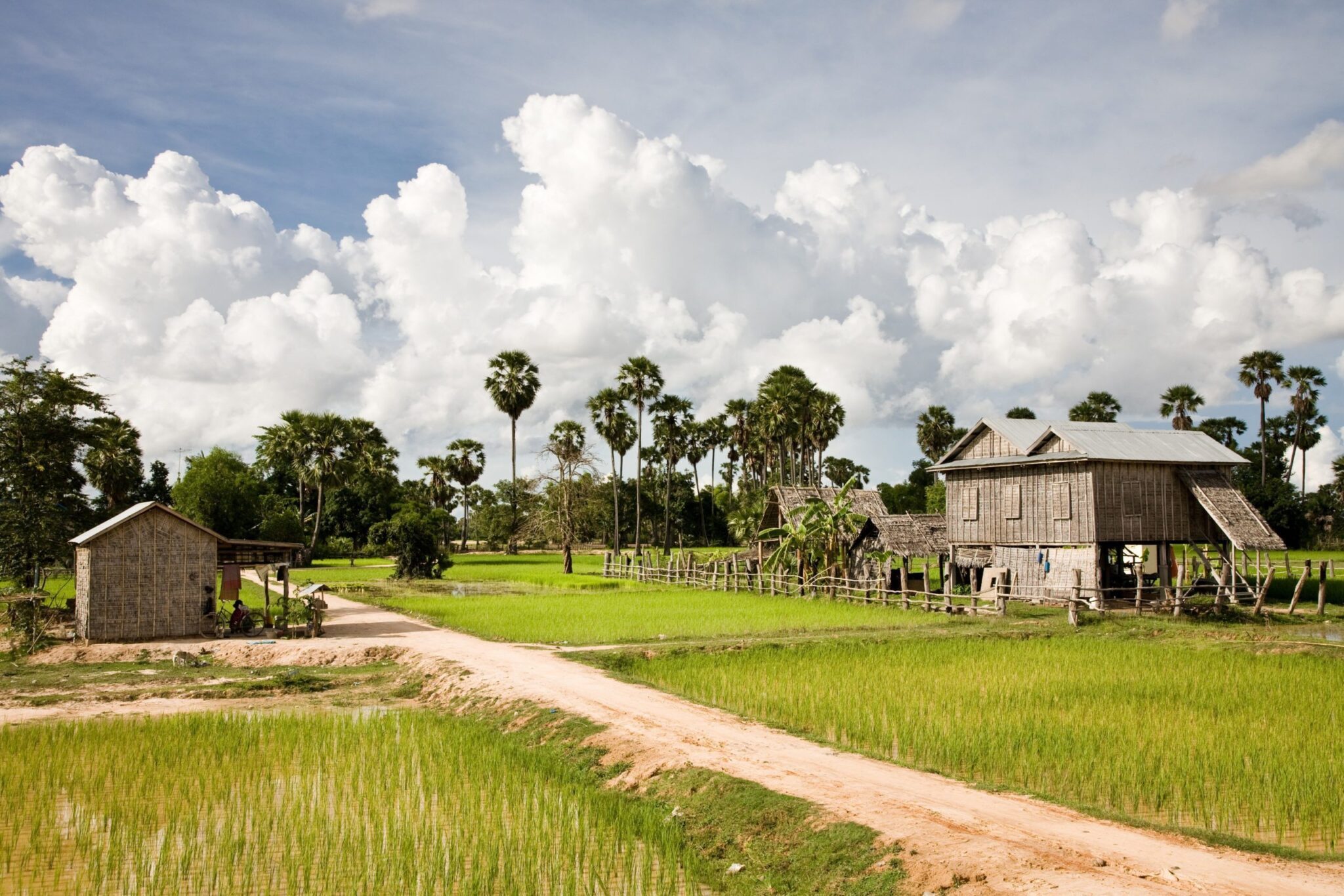 Cambodge