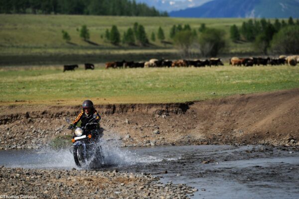 TF1: les expéditions à moto en Mongolie sur Reportages