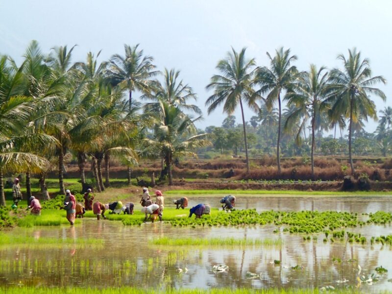 Pondicherry 