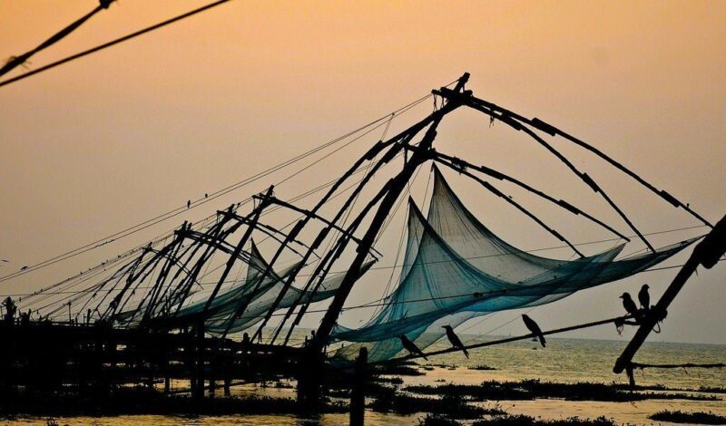Ankunft in Kochi