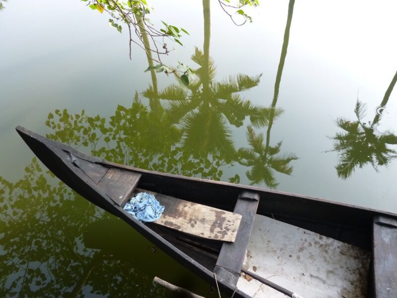 Kochi - Backwaters