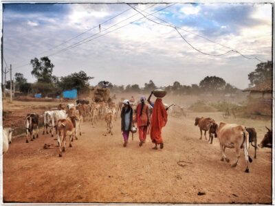femme village inde madhya pradesh 