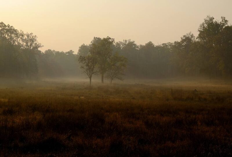 Kanha 