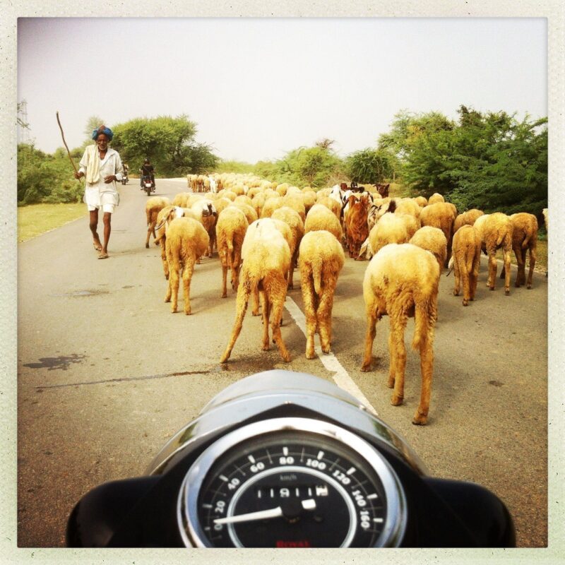 Ranthambore - Bundi 