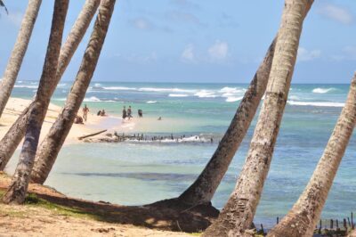 sri lanka plage ocean cocotier