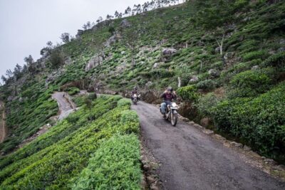 sri lanka plantation the moto