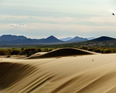 désert dunes mongoles