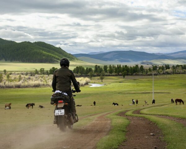 On the Trail of Genghis Khan