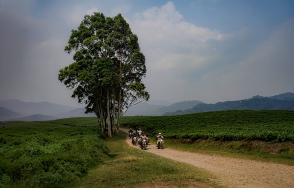 Rwanda : Le pays des Mille Collines