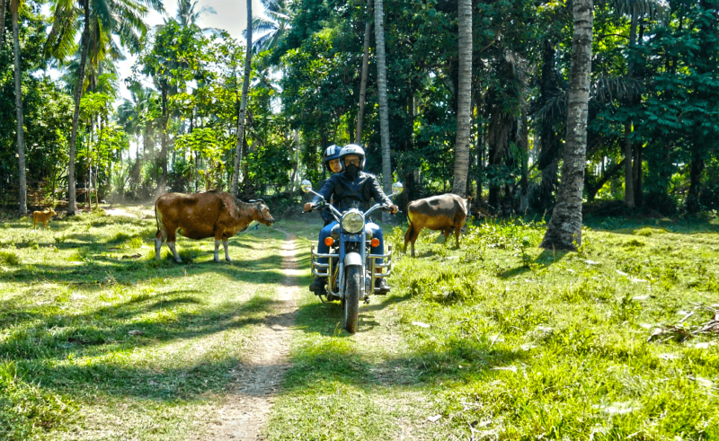 From Bali to Sumbawa: Island-Hopping Getaway, stage 1