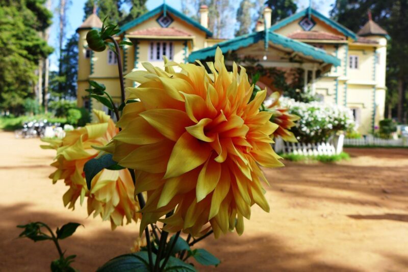 Pondicherry - Chennai 