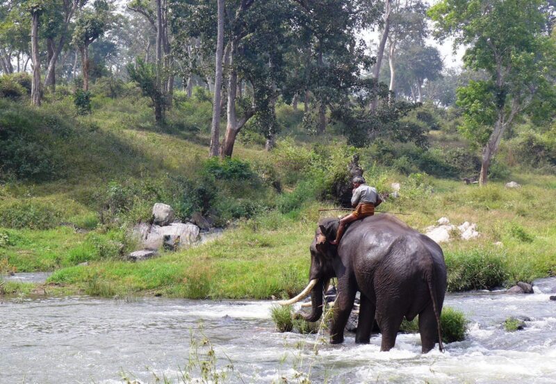 Munnar - Munnar