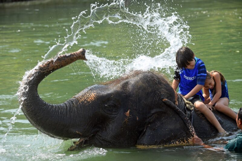 Chitwan 