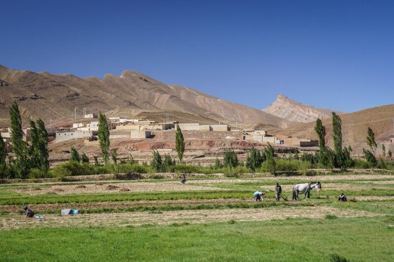 paysage oasis marocain