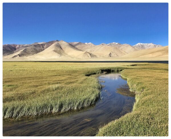 Transhimalayenne : récit d&rsquo;un Vintage Rider | Episode 2