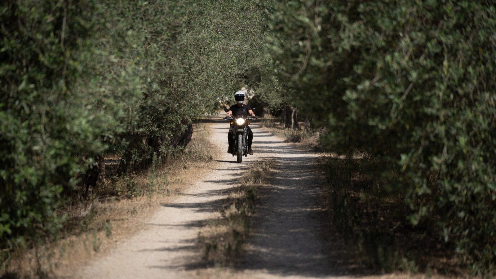 Royal Enfield auf einem schattigen Schotterweg zwischen Olivenbäumen auf Sardinien