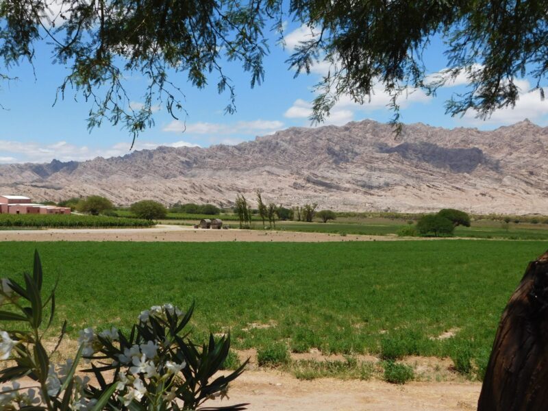 Cafayate - Salta 
