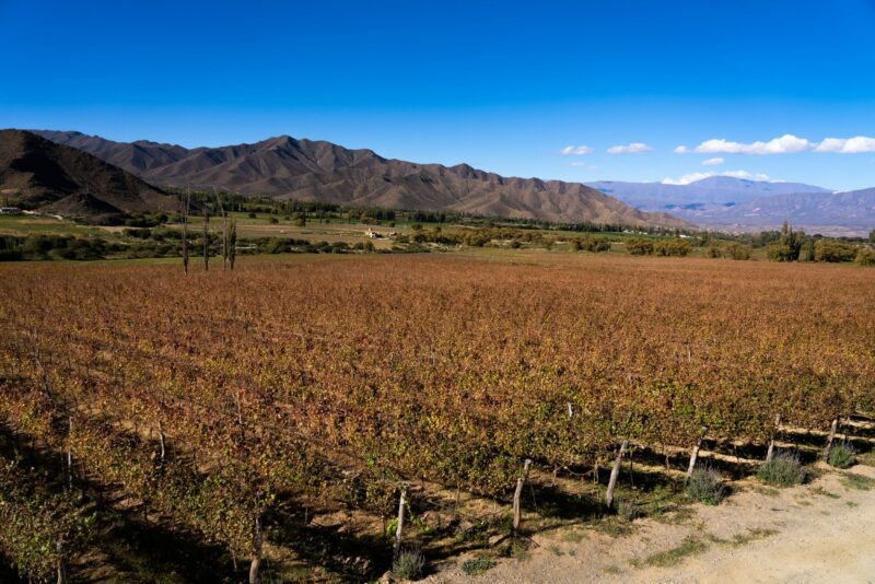 Humahuaca - Susques 