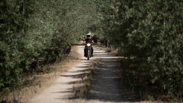 Abenteuer zwischen Meer und Bergen