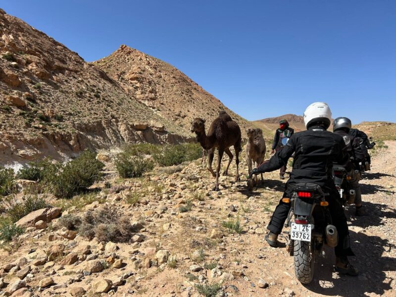 From the Atlas Mountains to the Sahara dunes, étape 5