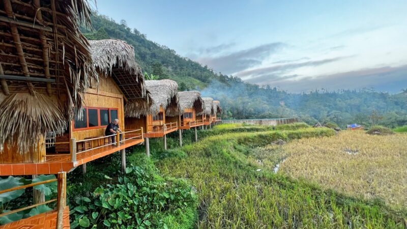 vietnam maisons bois
