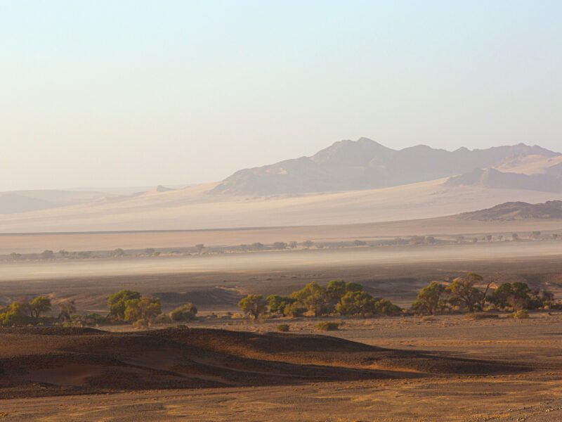 Tracks in Namibian lands, stage 2