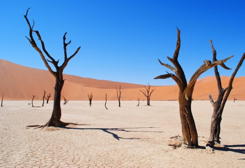 Pistes en Terre Namibienne, étape 1