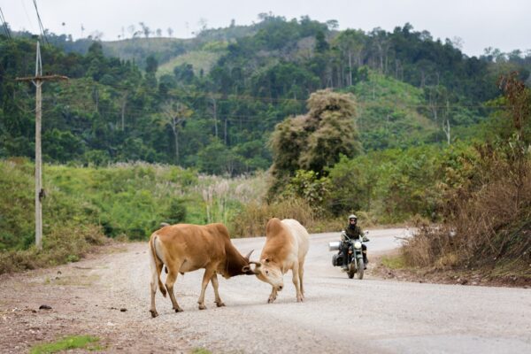 La grande aventure Laotienne