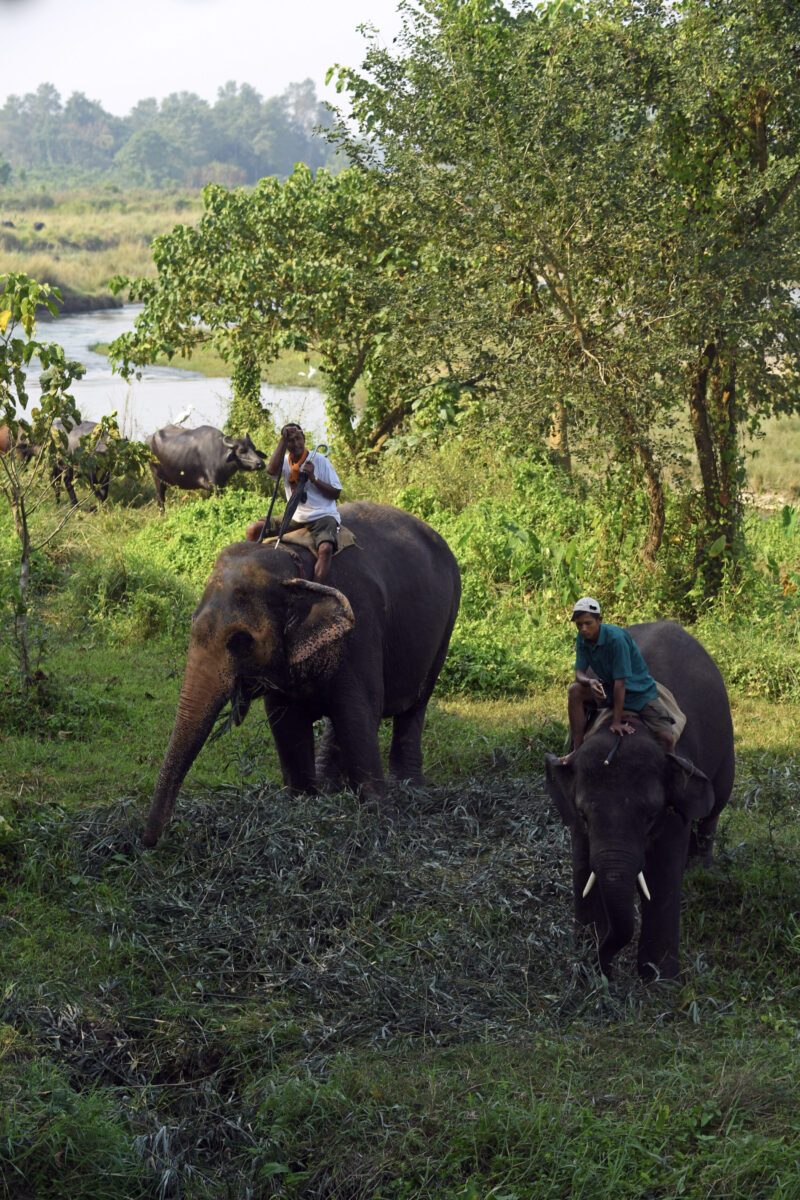 Chitwan 