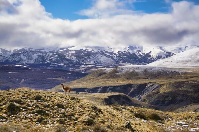 Patagonien Die Straße der großen Vulkane, étape 2