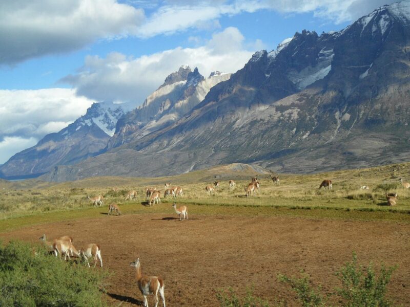 Patagonien Die Straße der großen Vulkane, étape 3