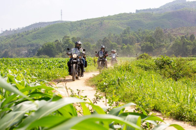 The Jungles and Shores of Central Vietnam, étape 3