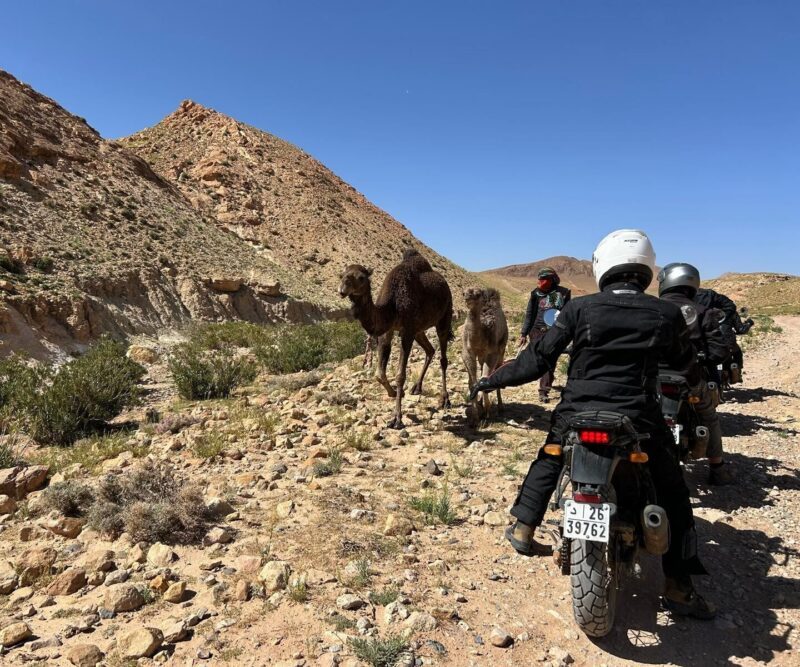 Dades - Aït Benhaddou
