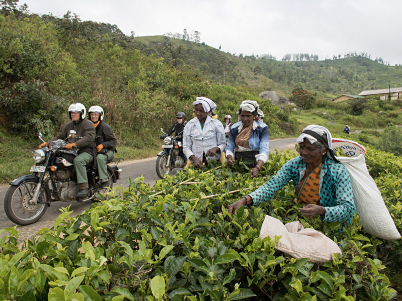 Entlang der Routen von Ceylon, étape 2